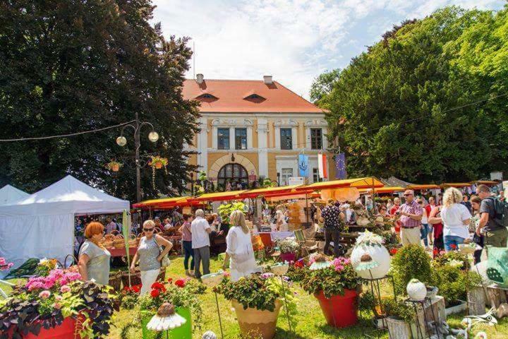 Appartamento Der Kleine Bauernhof Keine Arbeiter Zadnych Pracownikow Lubiatow  Esterno foto