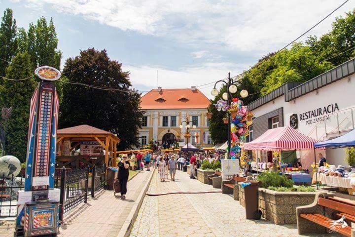 Appartamento Der Kleine Bauernhof Keine Arbeiter Zadnych Pracownikow Lubiatow  Esterno foto